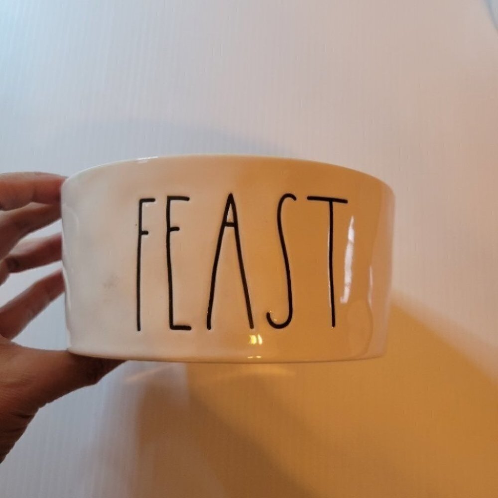 ❤️ 3 for $35 RAE Dunn feast dog cat pet food feeder  bowl